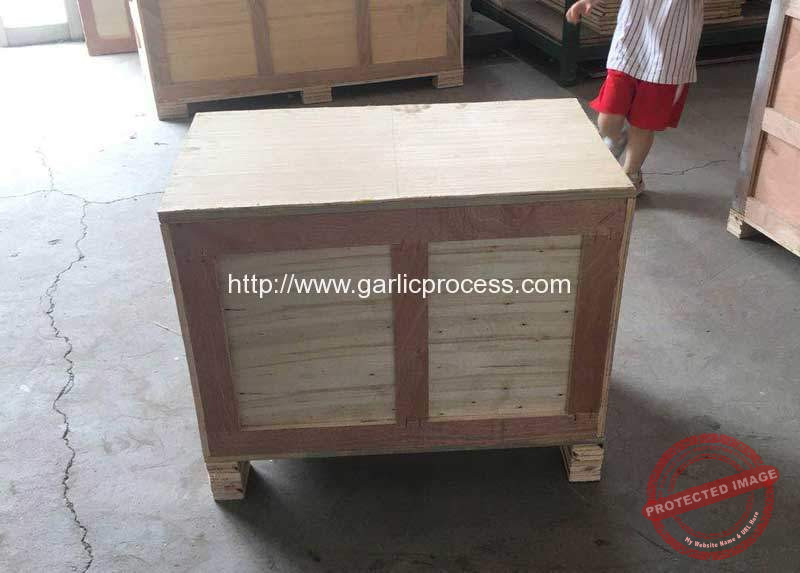 Garlic-Tail-and-Leaf-Cutting-Machine-Delivery-By-Fedex-Express-to-Canada